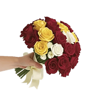 Golden Rose Radiance