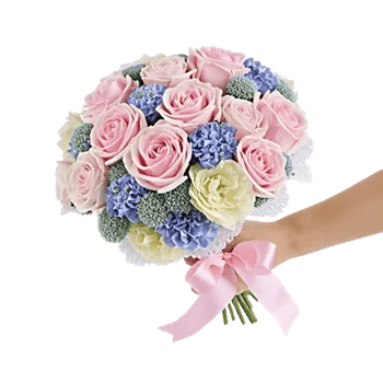 Pastel Pink Roses