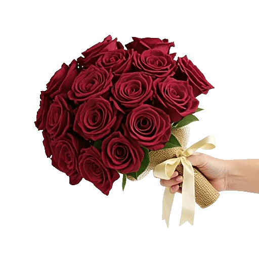 Crimson Rose Elegance