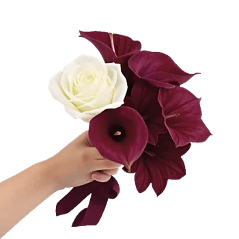 Elegant Calla Lilies