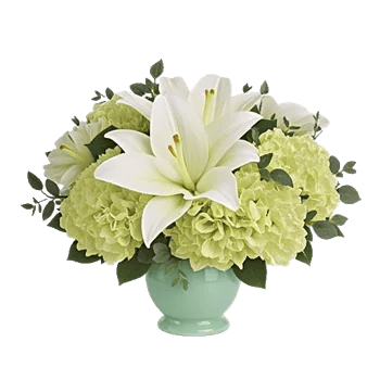 Serene Lily Cascade