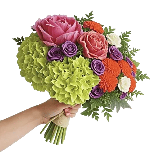 Serene Petal Harmony