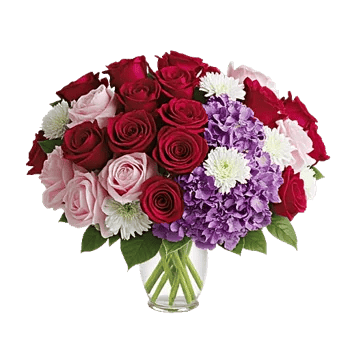 Petal Radiance Bliss