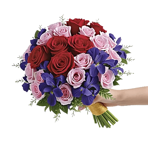 Crimson Rose Elegance