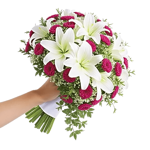 Delicate Petal Cascade