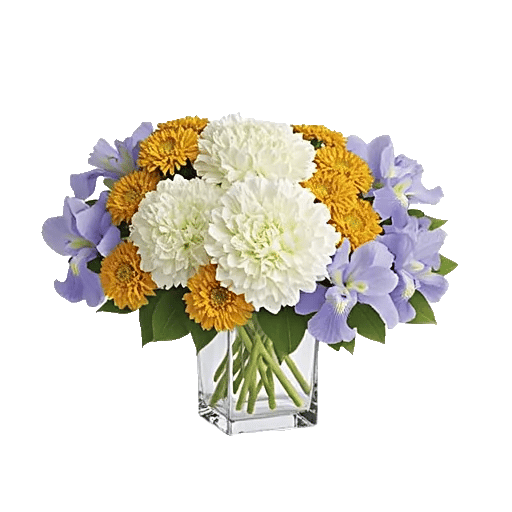 Ivory Blossom Radiance