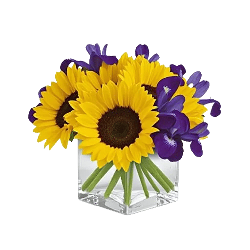 Amber Sunflower Glow