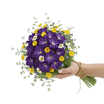 Blossom Petal Serenity