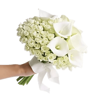 Elegant Calla Lilies