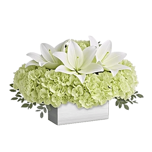 Graceful Lily Display