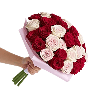 Crimson Rose Elegance