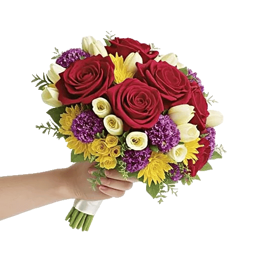 Crimson Rose Elegance