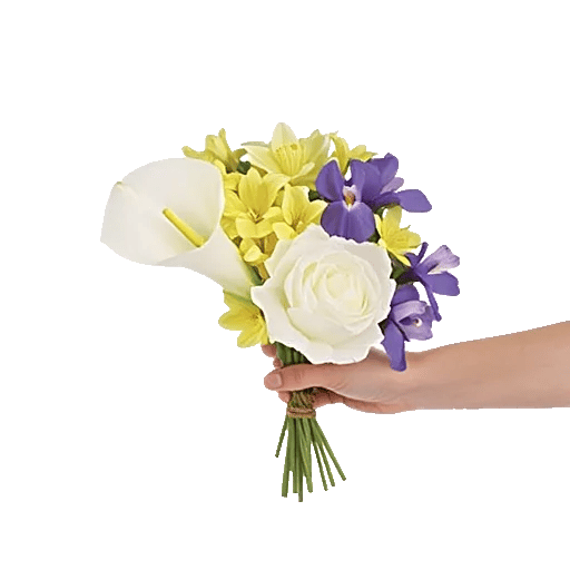 Elegant Calla Lilies