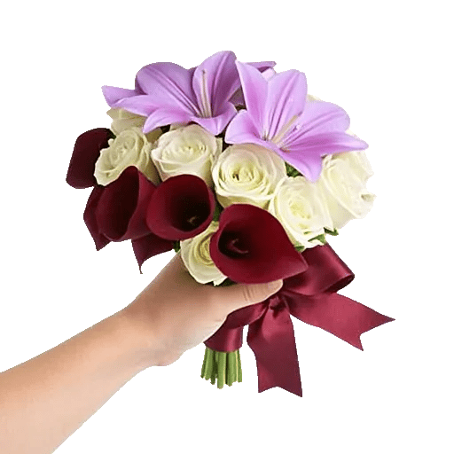 Elegant Calla Lilies