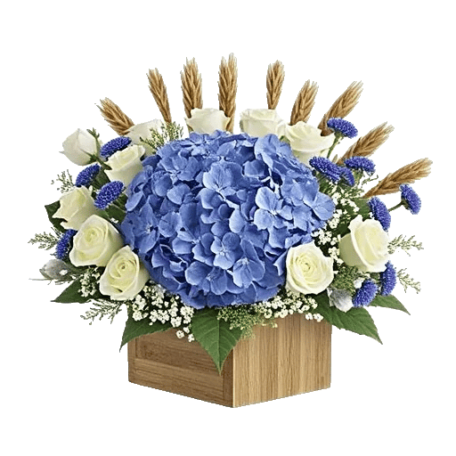 Serene Petal Harmony