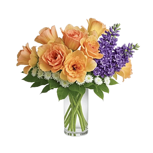 Petal Radiance Bliss