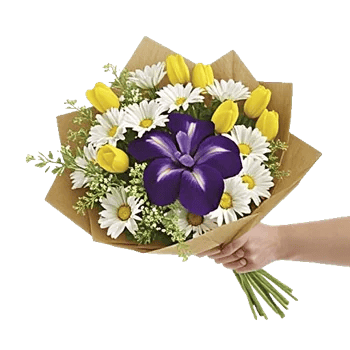 Ivory Garden Grace