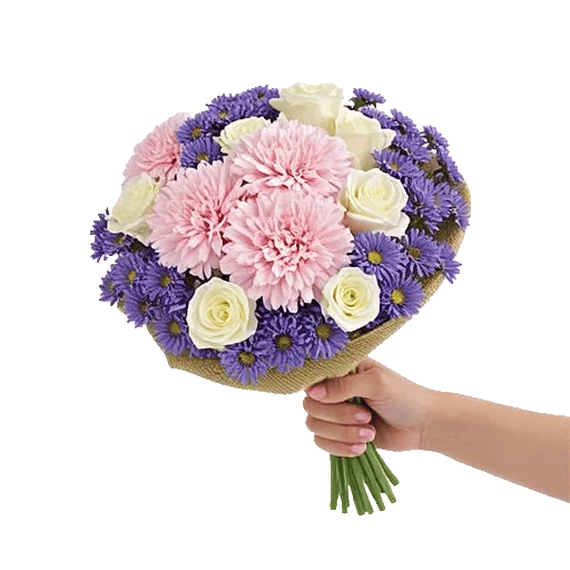 Pastel Pink Roses