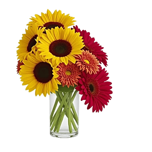 Radiant Bloom Cascade