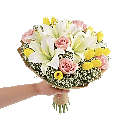 Blossom Harmony Display