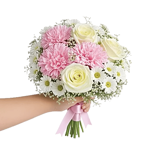 Pastel Pink Roses