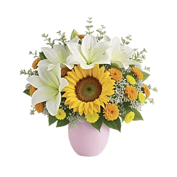 Petal Radiance Bliss