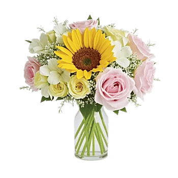 Petal Radiance Bliss