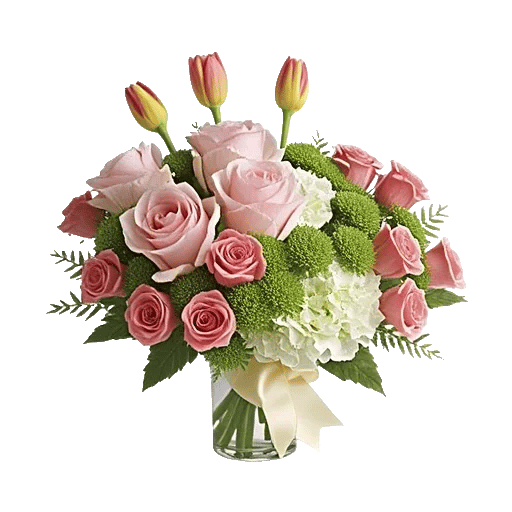 Blushing Rose Symphony