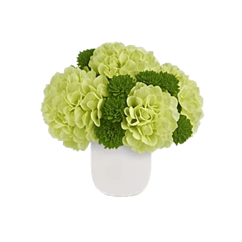 Emerald Bloom Cascade