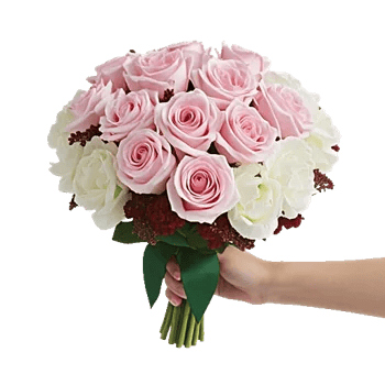Pastel Pink Roses