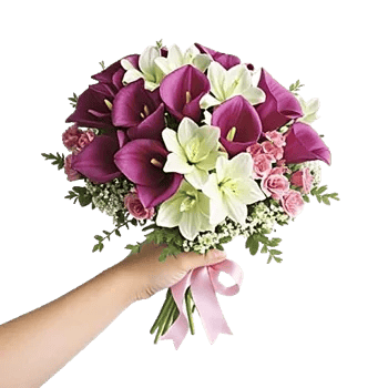 Elegant Calla Lilies