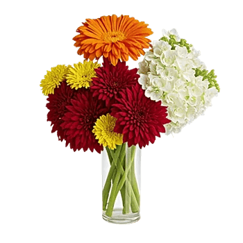 Radiant Bloom Cascade