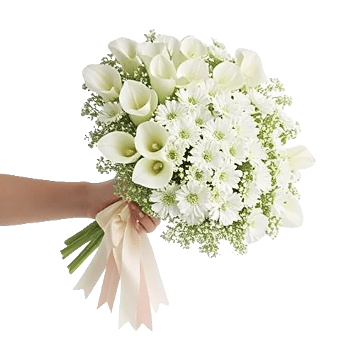 Delicate Petal Cascade