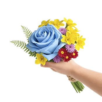 Blossom Petal Serenity