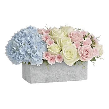 Serene Petal Harmony