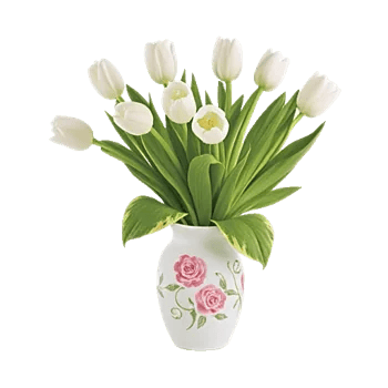 Velvet Tulip Display