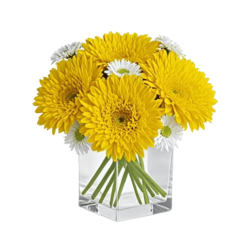 Petal Radiance Bliss