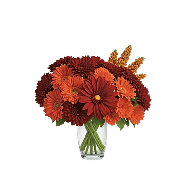 Deep Red Foliage