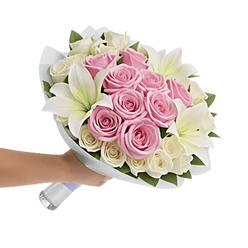 Blushing Rose Symphony