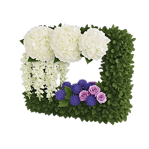 Ivory Blossom Radiance
