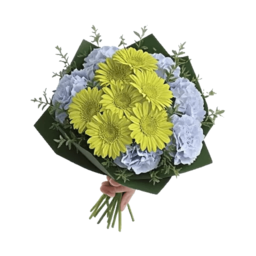 Serene Petal Harmony