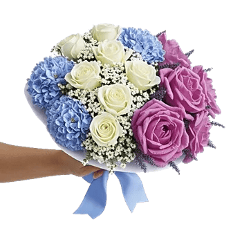 Serene Petal Harmony