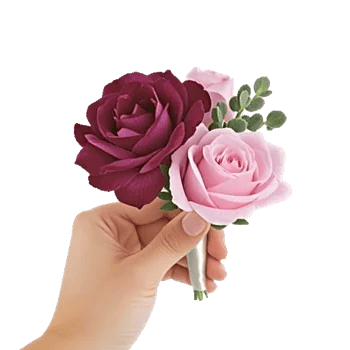 Plum Blossom Radiance