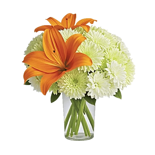 Graceful Lily Display