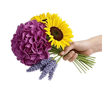 Serene Petal Harmony