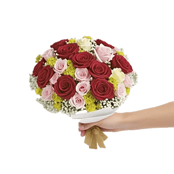 Crimson Rose Elegance