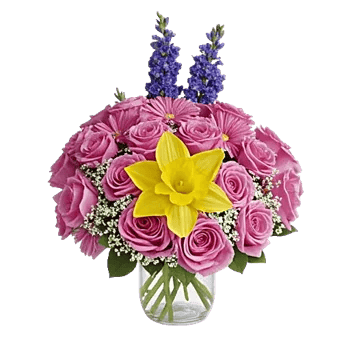 Petal Radiance Bliss