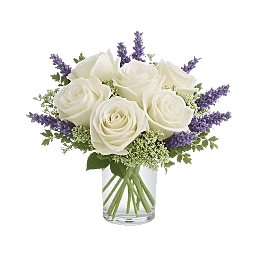 Ivory Blossom Radiance