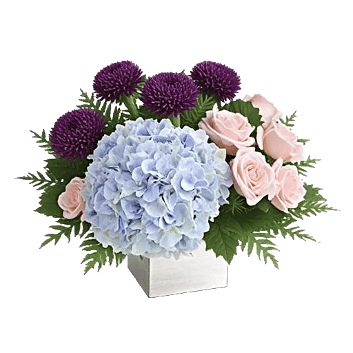 Sapphire Bloom Whisper