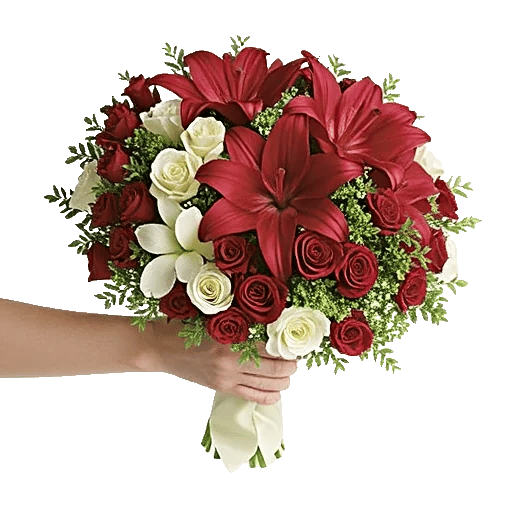 Crimson Lily Glow